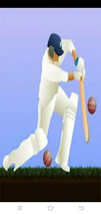 DH Little Master Cricket