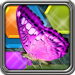 「HexLogic - Butterflies」のアイコン画像