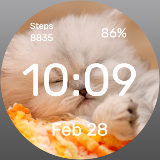 Little cat - Watch Face Download on Windows