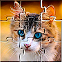 Jigsaw Puzzles Collections