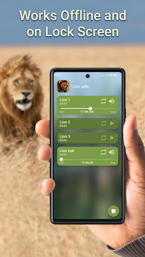 Lion Hunting Calls Screen 3