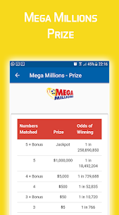 New York Lottery Results 8