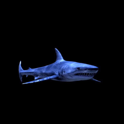 Blue Shark Live Wallpaper  Icon