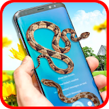 Couple Snake on screen icon