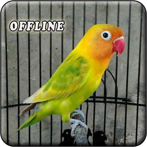 Masteran Lovebird Ngekek  MP3 Download on Windows