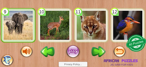 African Animals Puzzles Screen 2