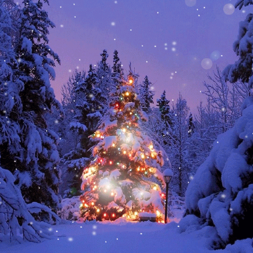 Christmas Snow Live Wallpaper - Apps on Google Play