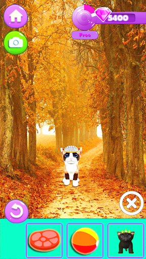 My Augmented Reality Kitty Screen 2