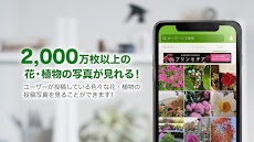 GreenSnap - 植物・花の名前が判る写真共有アプリのおすすめ画像3