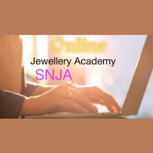 SNJ ACADEMY logo