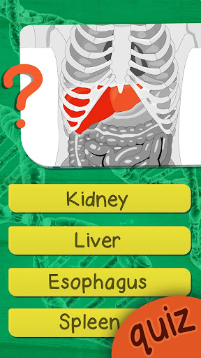 The Human Anatomy Quiz App On Human Body Organs 6.0 screenshots 2