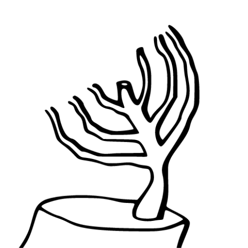 שיעורי הרב יואל עמיטל