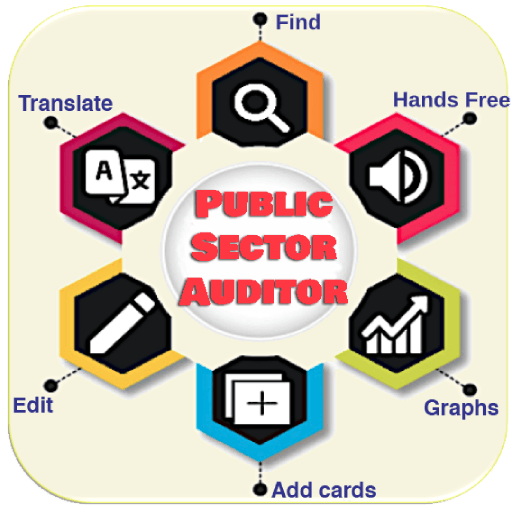 Public Sector Auditor 1400card