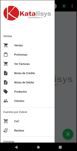Katalisys Factura Electrónica Screen 3