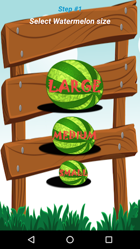 Watermelon Prober Screen 2
