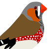 VogelMarkt.net icon