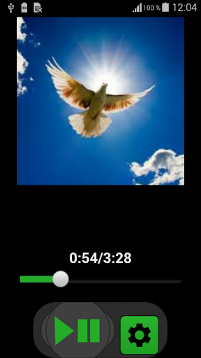 Android application Litany of the Holy Spirit screenshort