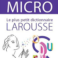 Larousse Micro Poche Dictionnaire Français PRO