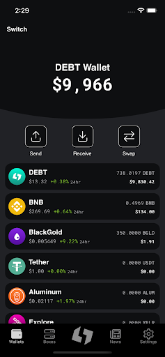 DEBTBox Mobile Screen 3