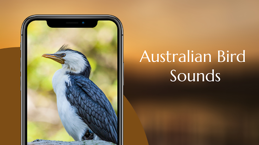 Australian Bird sounds Screenshot 2 - AppWisp.com