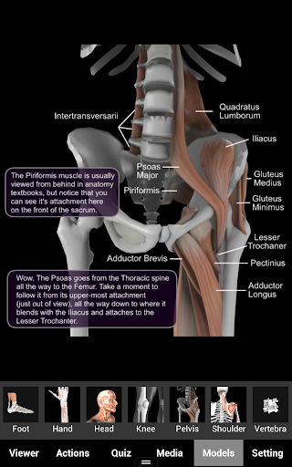 Muscle and Bone Anatomy 3D - Medical - apps