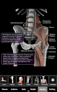 Анатомия мышц и костей 3D APK (Платная версия) 4