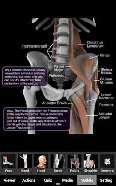 Muscle and Bone Anatomy 3Dのおすすめ画像4