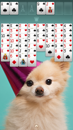 Game screenshot FreeCell Solitaire hack