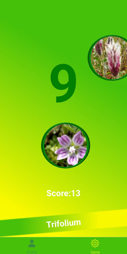 flyflowersAI flowers and fun Screen 2