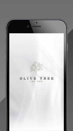 Olive Tree Tax Pro Screen 2