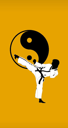 TAEKWONDO WALLPAPER