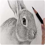 How to Draw a Bunny icon