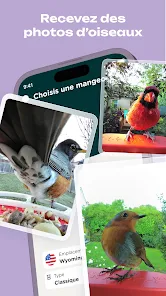 Bird Buddy: Tap into nature ‒ Applications sur Google Play