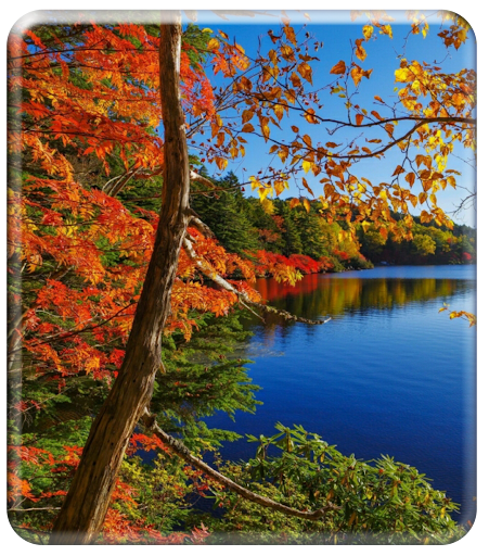 Autumn Wallpaper HD Screen 3
