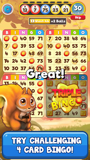 Bingo Pet Rescue  screenshots 10