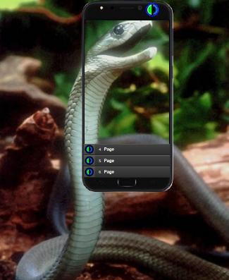 The Most Venomous Snake in the