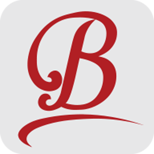 Bigbag logo
