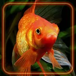 Cover Image of ダウンロード Fishes Gold Aquarium HD  APK
