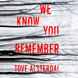 Obraz ikony: We Know You Remember: A Novel