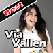 Lagu Terbaru Via Vallen 2020 | Dangdut Via Vallen - Androidアプリ