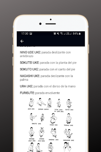 Aprender Karate en casa en Esp