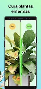 PictureThis Identificar Planta Screenshot
