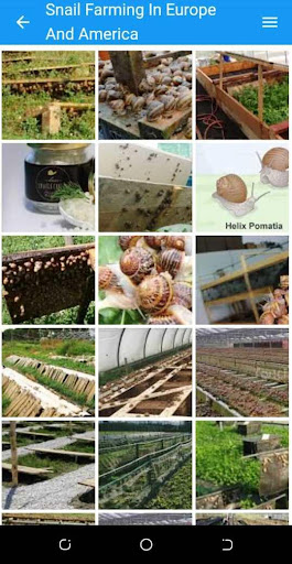 Learn Snail Farming Screen 2