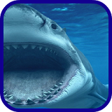 Shark blue sea icon