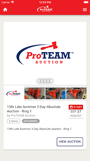 ProTEAM Auction Screen 3