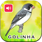 Top 32 Music & Audio Apps Like Canto De Golinha HD - Best Alternatives