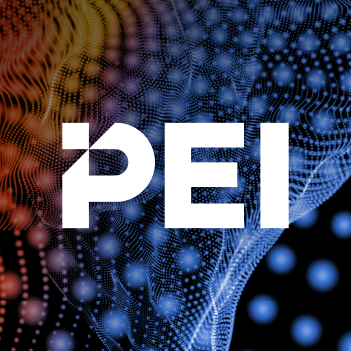 PDI Germany Forum 2023 logo