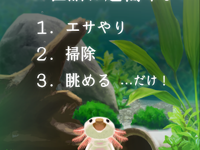 √ダウンロード アクアリウム ウーパールーパー 赤ちゃん 149931