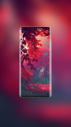 Android application Galaxy F34 Wallpaper screenshort