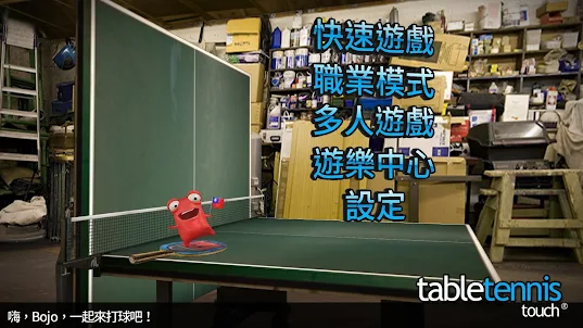 Table Tennis Touch